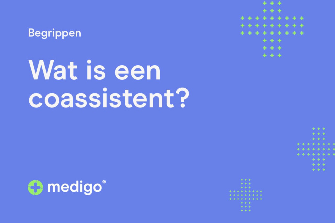 Wat is een coassistent?