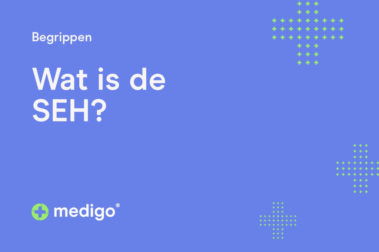 Wat is de SEH?