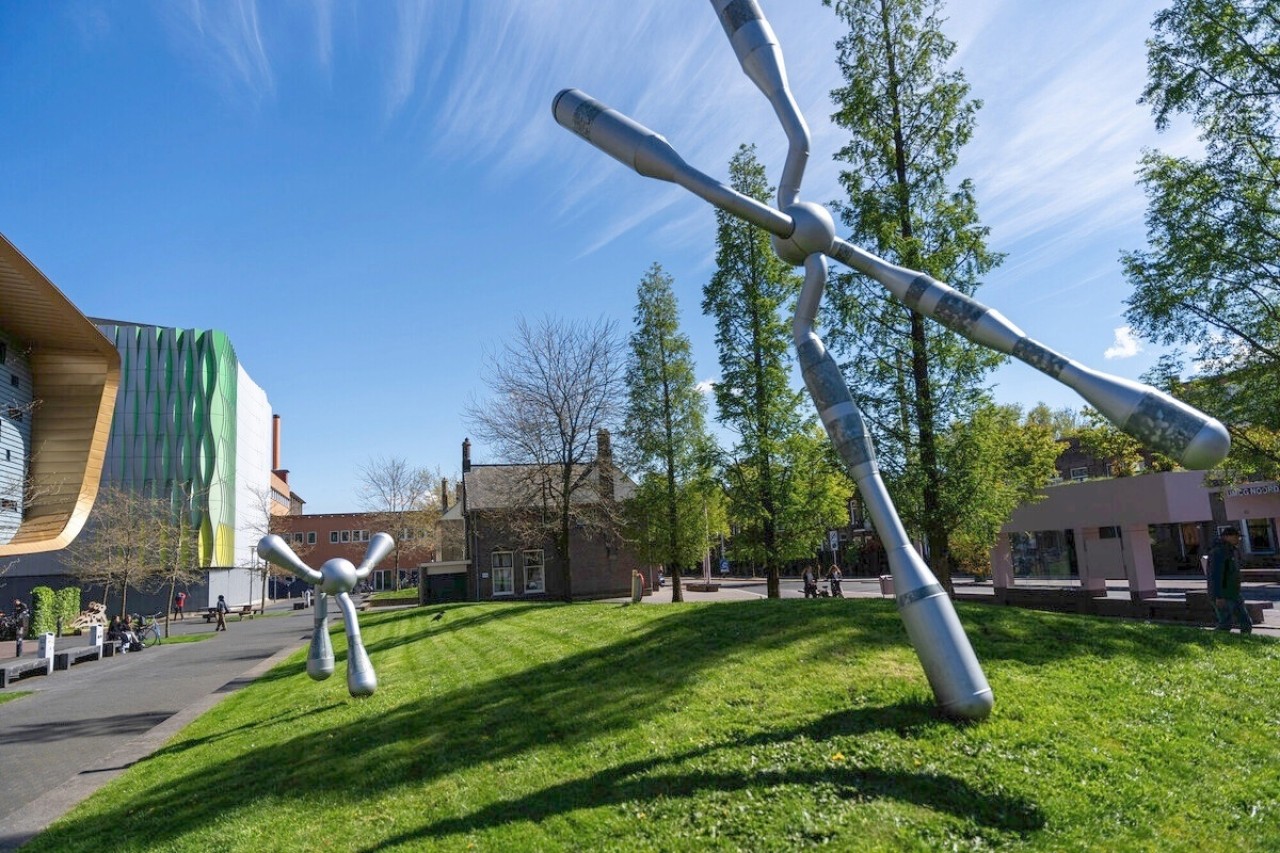 Rijksuniversiteit Groningen - Faculty of Medical Sciences
